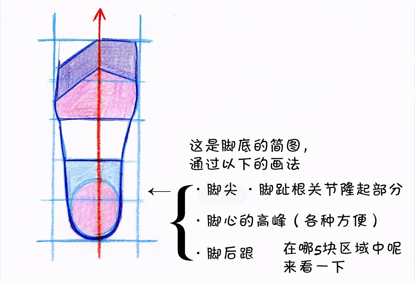 新手画脚难到升天？人物脚部不会画？“正经”脚部画法教程来啦