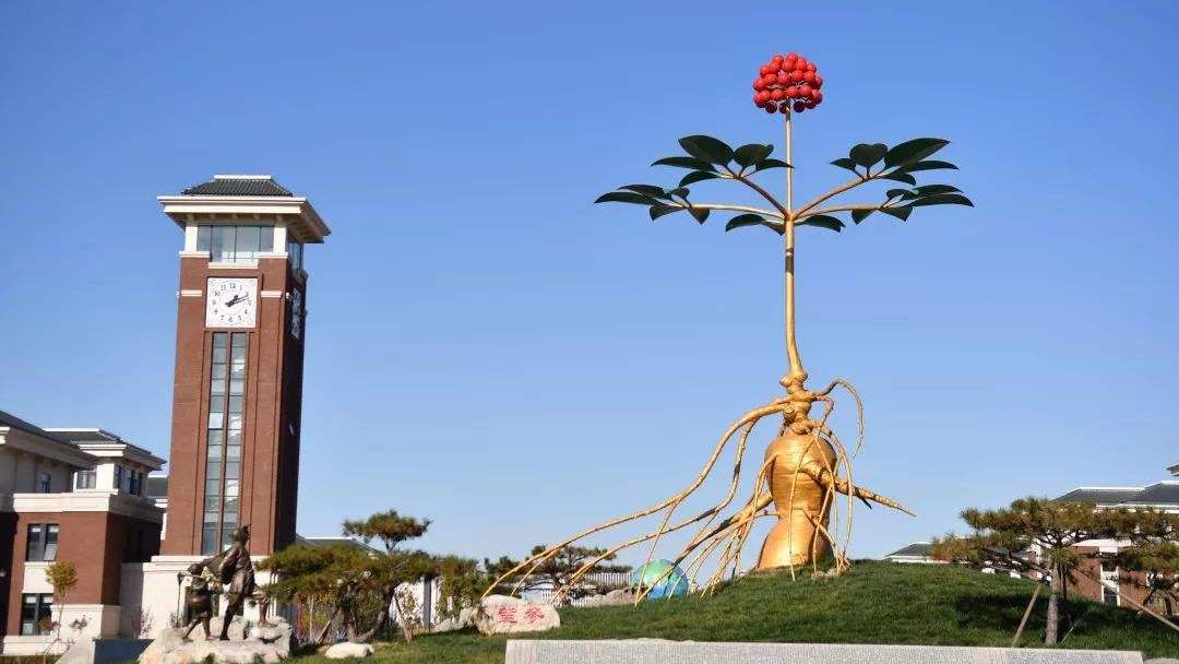 想要学中医，分数不是阻挡你的理由，总有一所中医药大学适合你