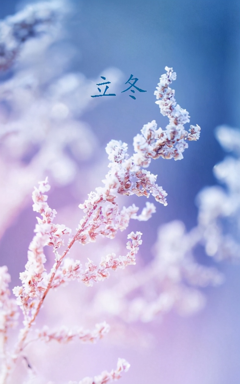 二十四节气立冬古诗词欣赏 带你感受立冬的诗意