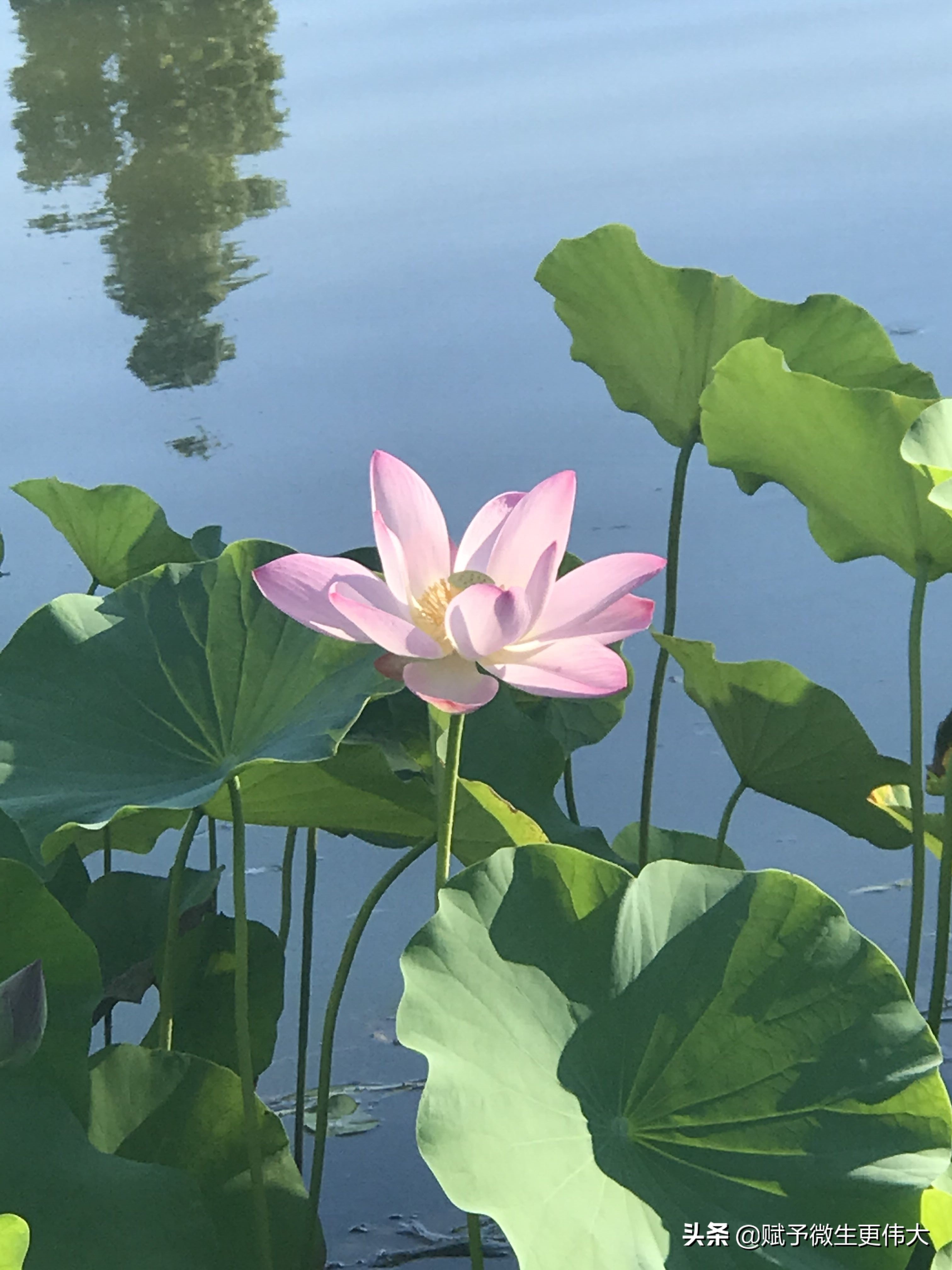 早晚凉——秋胜一日秋