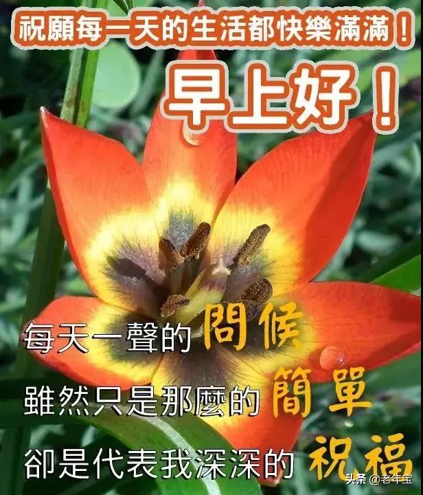 最新周一早上好表情图 周一早安暖心问候图片图片