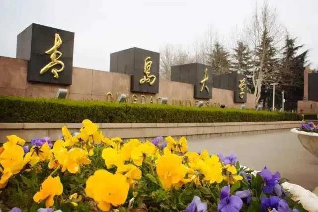 山东73所高校排名！“山东师大”进前5强，看前10强是哪所？
