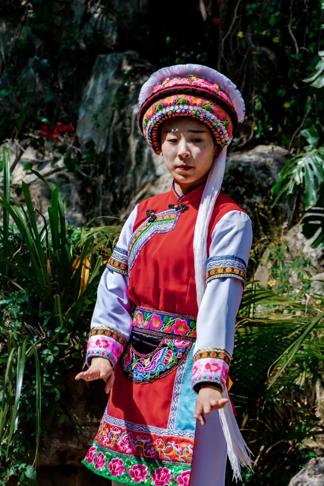 走进出现"蝶飞泉涌"奇景的大理蝴蝶泉,寻找"活着"的白族文化_蝴蝶泉