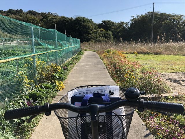 一场灵魂的净化之旅——爱知县佐久岛