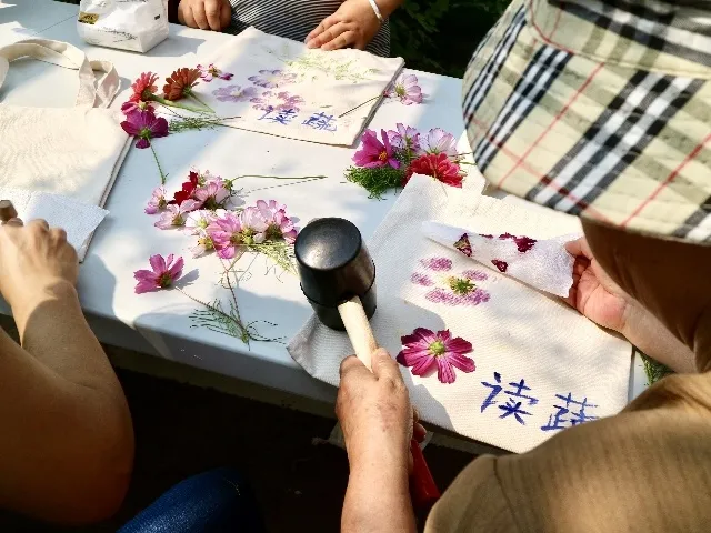 合肥竟然藏着一个“小世外桃源”!人少景美一眼就爱上!