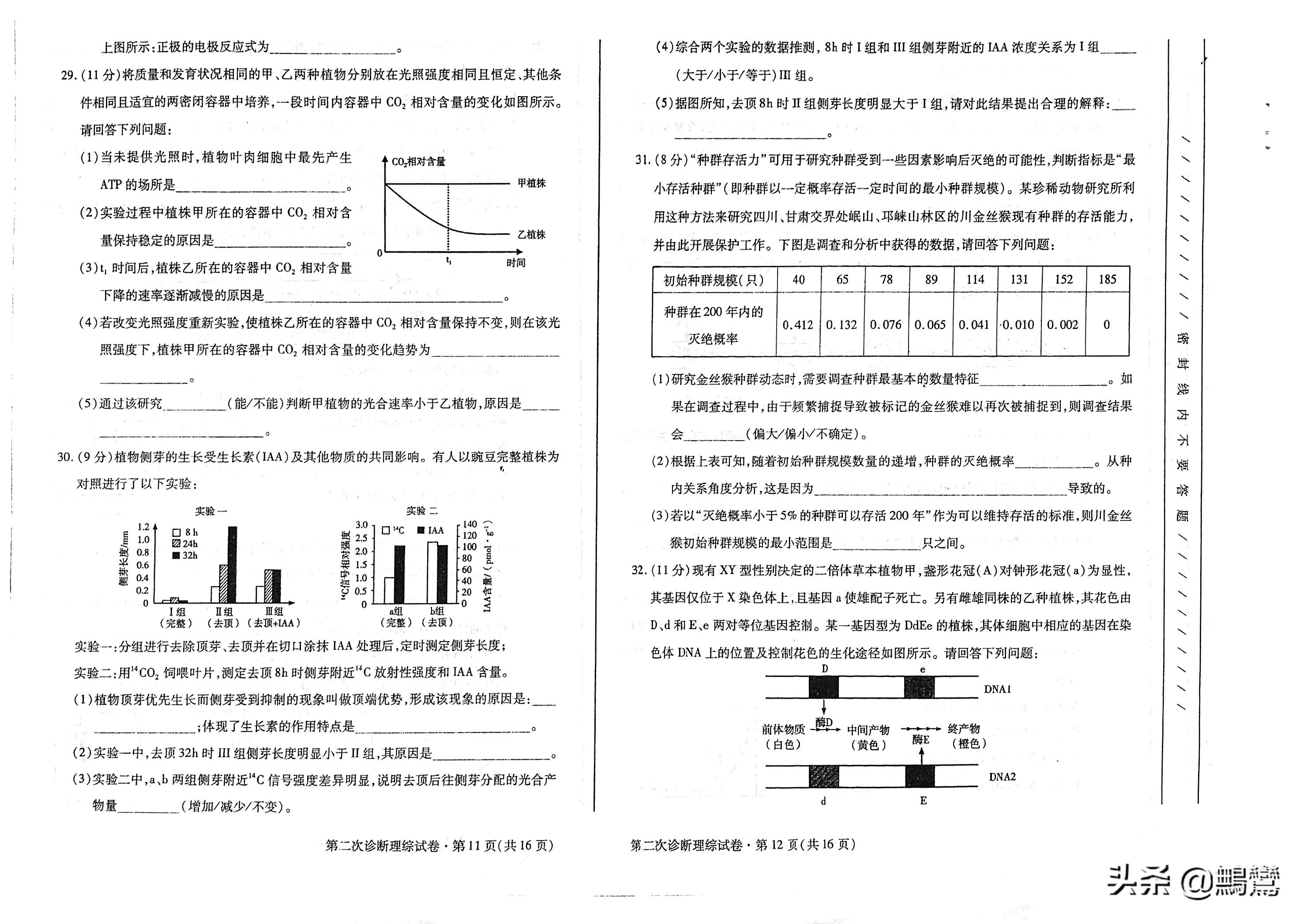 21年甘肅省二診試題理科綜合 鷡鸞 Mdeditor