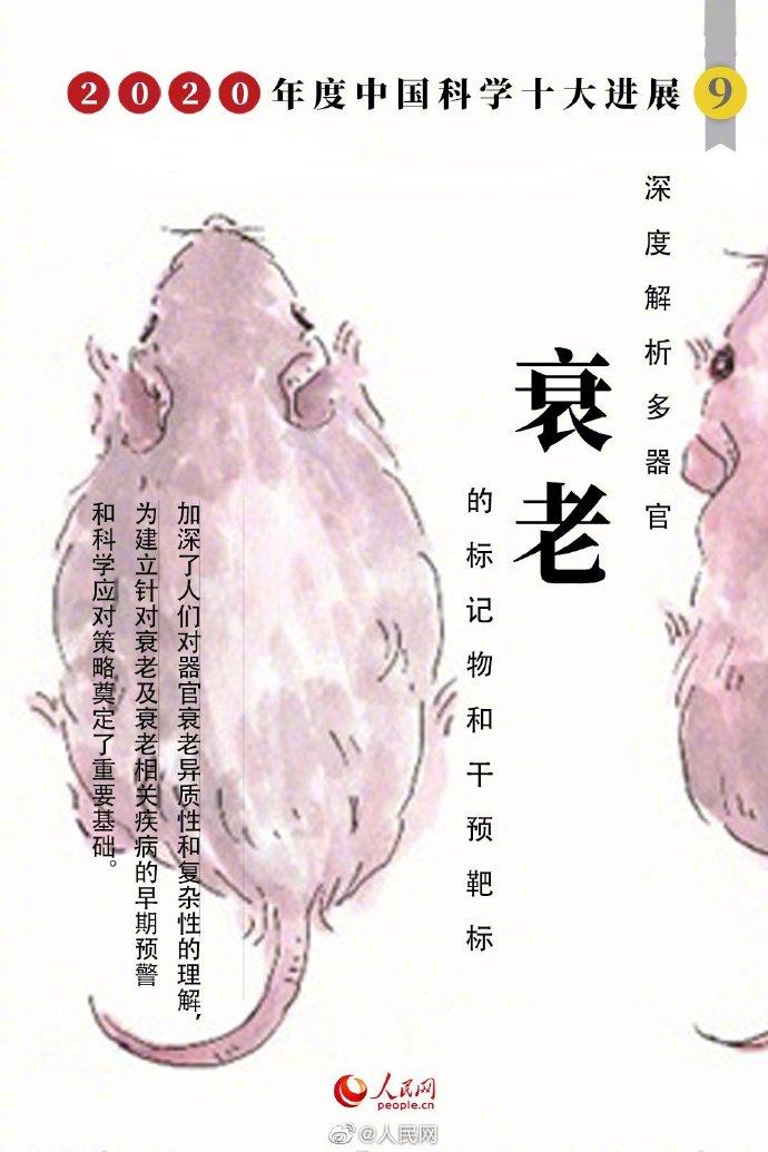 ������������ǰ���ѷ��ϱ����Ż������о��ɹ���ѡ2020����й���ѧʮ���չ