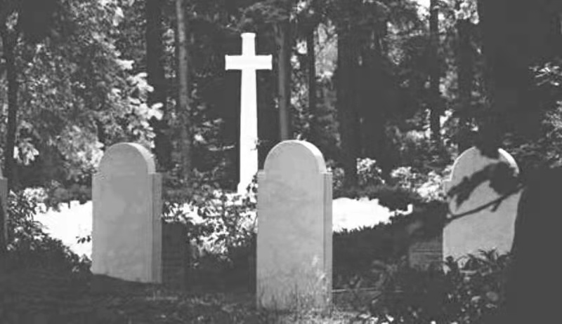 2020电商公司“死亡”名单出炉！这个类目“尸体”最多