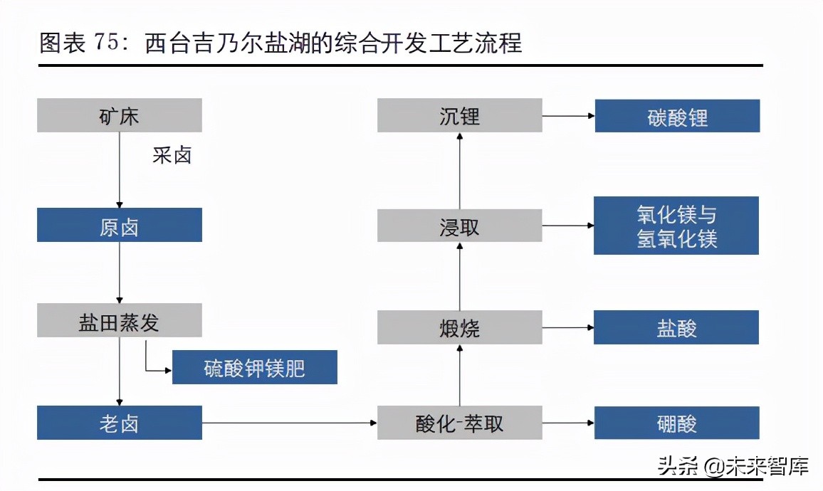 盐湖提锂产业深度报告：中国盐湖提锂，走向成熟