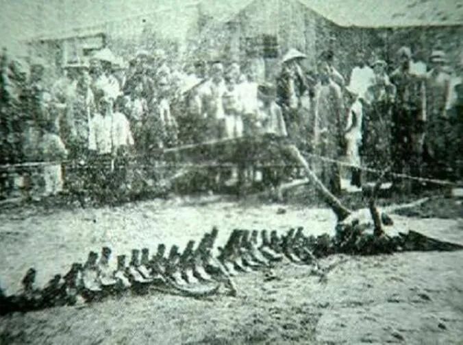 中国三大未解的谜团：孟照国神奇接触、陈明道再生、营口坠龙