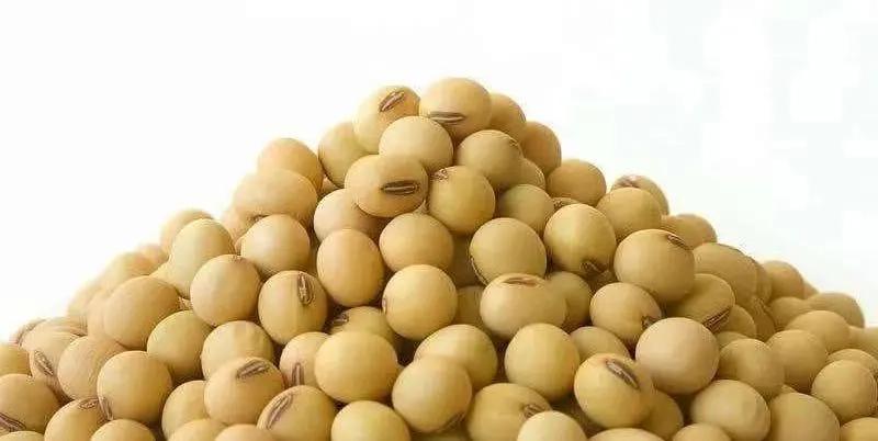 豆价求求你，别再上升了！什么时候是个头