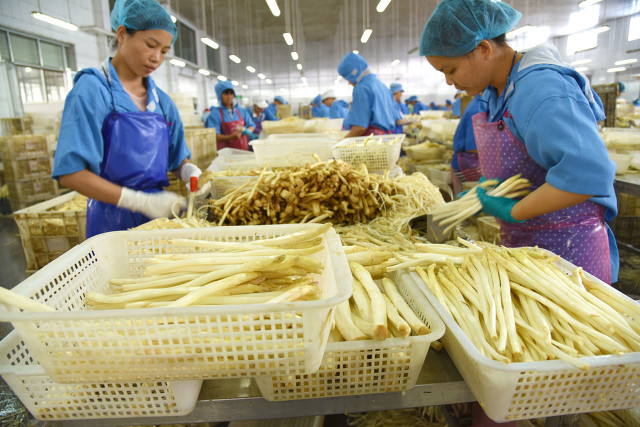 2021年之后农村未来十年创业机会很多，你准备好了吗？