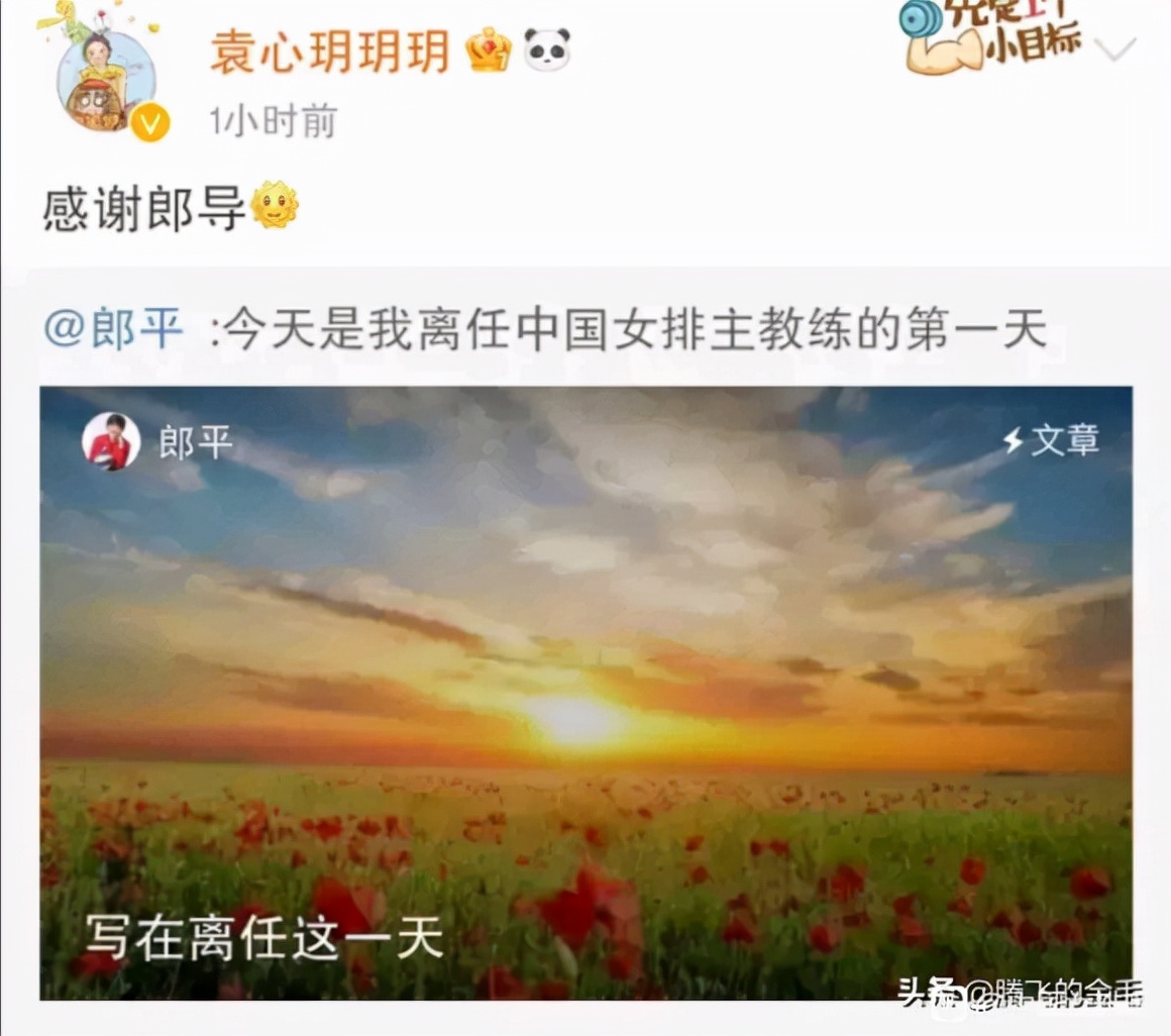郎平离任 看各个球员对郎导祝福