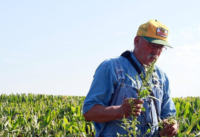 新消息！中国再订20000吨美国大豆油，大麦、蓝莓