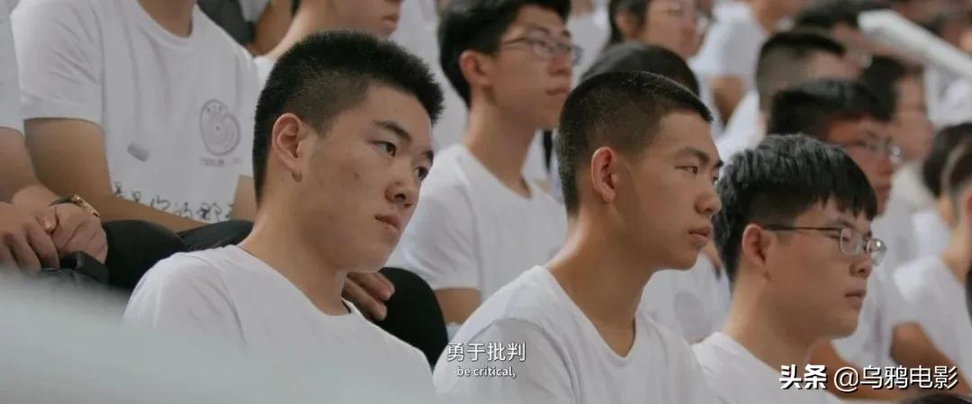 排片不足1%,刚不过圈钱烂片,这国产良心再不看就没了