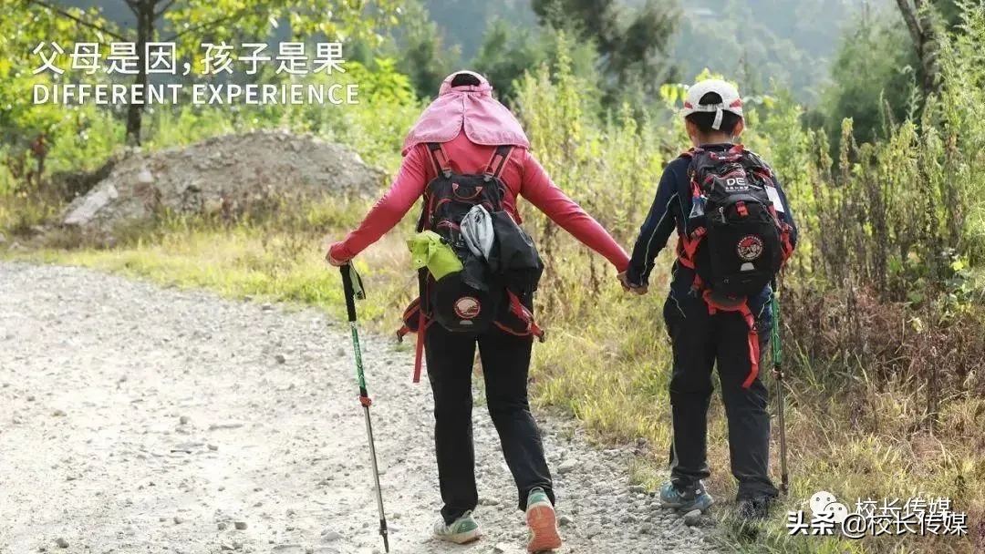 冷静妙招，不要让极端教育毁掉你的孩子