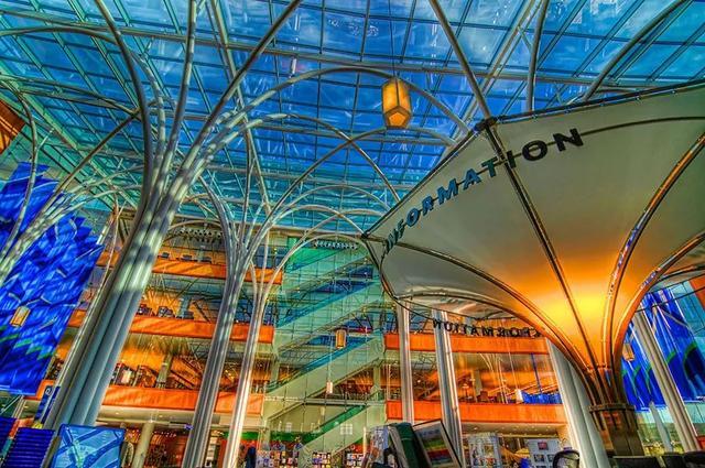 世界最美图书馆  里面藏着天堂的样子