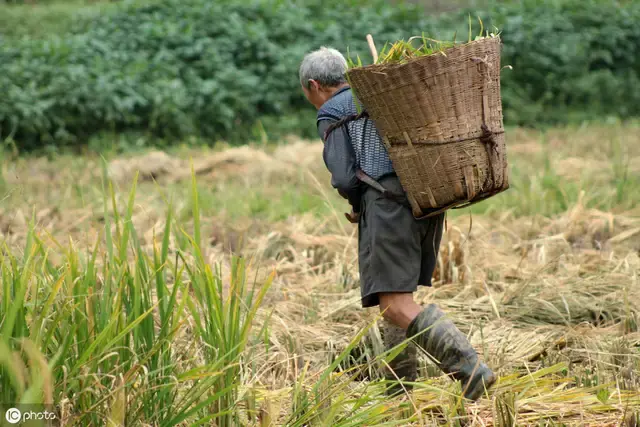 农谚“老不泄残精，少不食壮火”，老农说的话