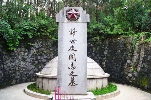 对毛主席最忠心的上将，许世友为何两次向毛主