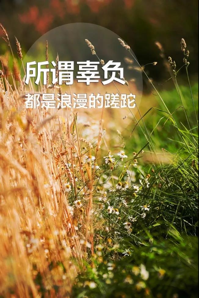 美好的一天早安的说说 很有内涵的早安的说说图片