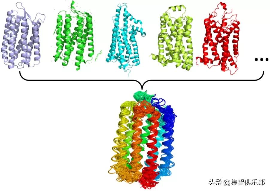 The Relationship Between Protein Dynamics And Evolution: The Same Story ...