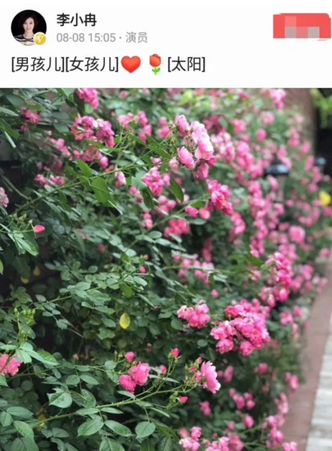 44岁李小冉携老公现身，男方斑秃明显皱纹多，夫妻同框似父女