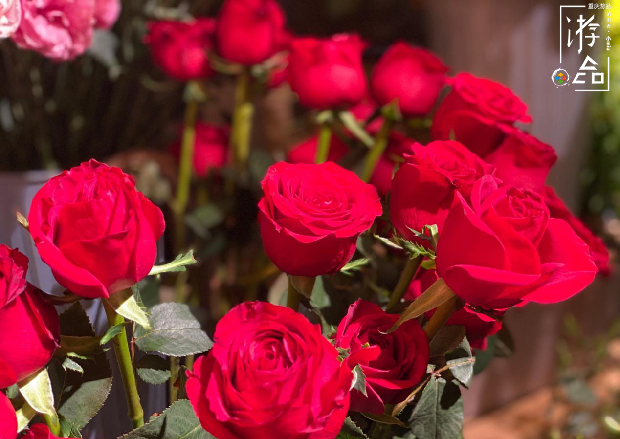 重庆鎏嘉码头的高级餐厅，羊排用老干妈调味，钱都花在环境上