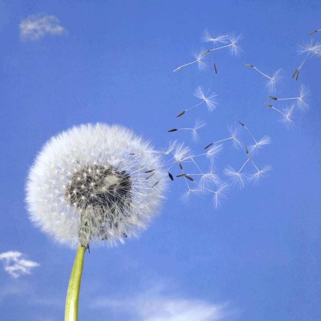 危机公关5S原则分析之盒马鲜生标签门危机公关