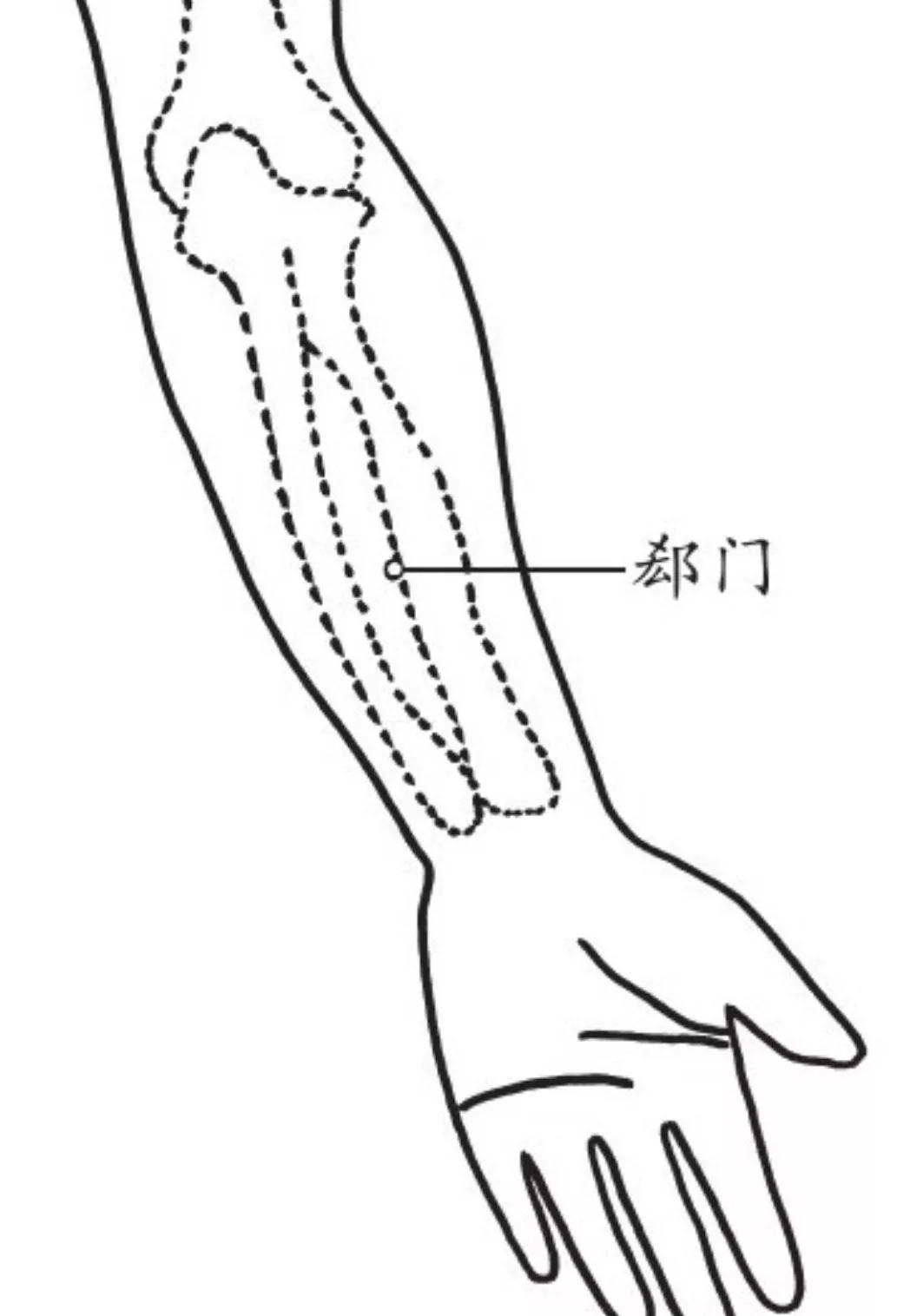经穴之可安神、理气、活血、疏利关节的郄门穴！