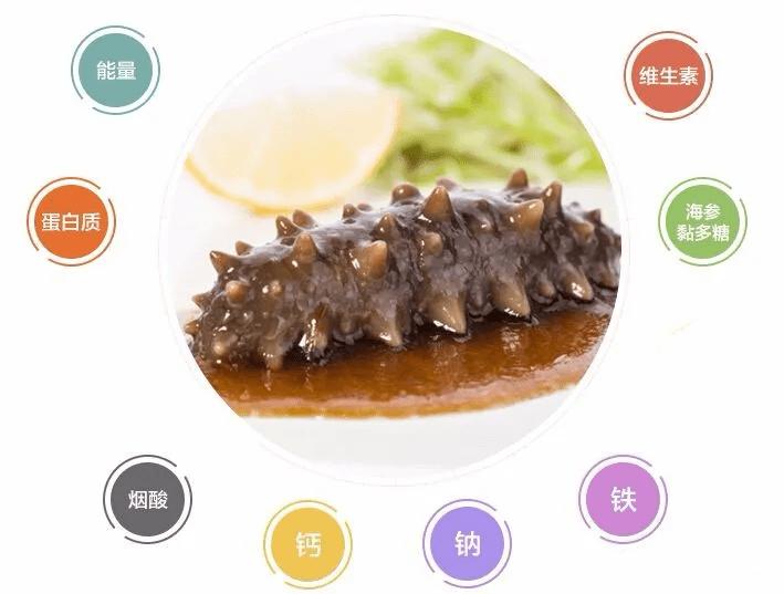 Sea cucumbers are nutritious and easy to digest. It is to