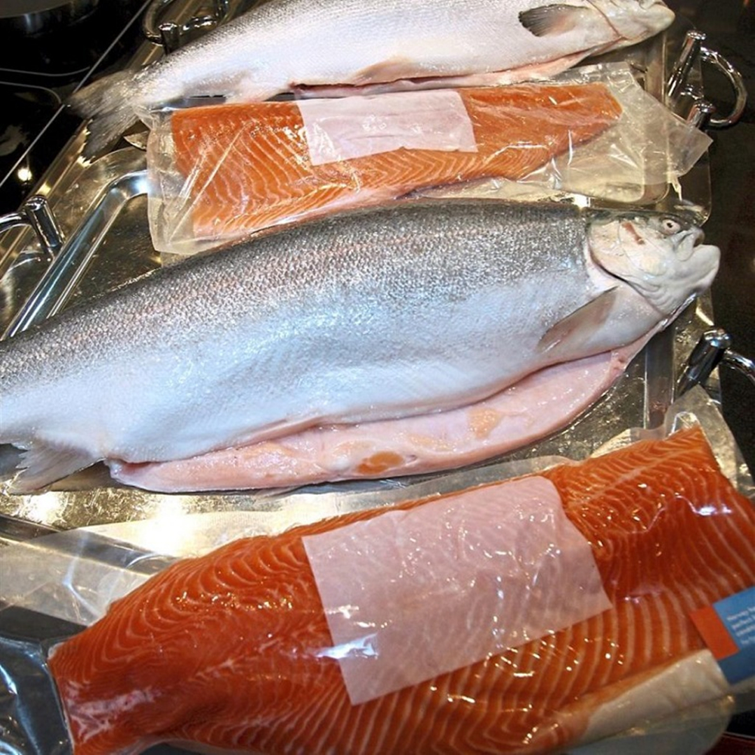 挪威进口的三文鱼有何不同，市场上有野生的吗？