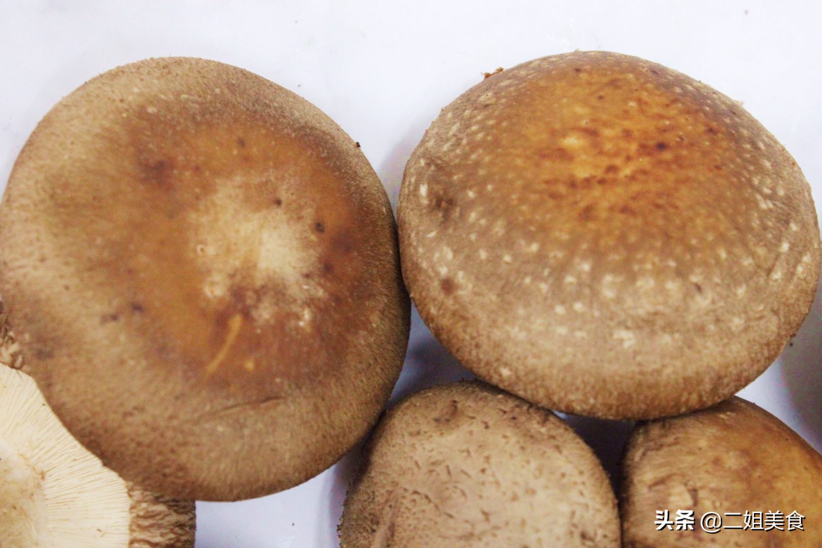 買香菇，選大的還是選小的？ 牢記“2要2不要”，以後別再買錯了