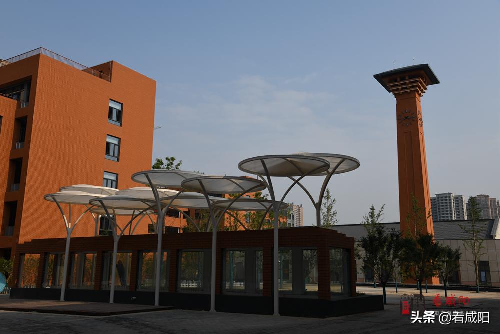 咸陽渭城中學遷址新建項目建設(shè)紀實(圖6)