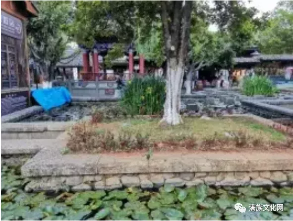 大清曾迁移一部分云南白族人到黑龙江担任“站