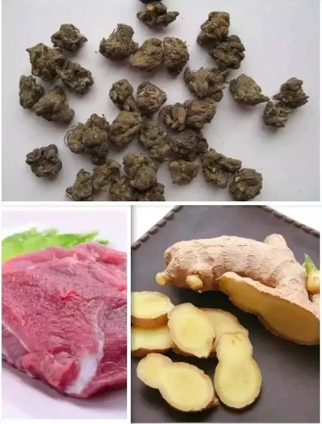 它长得像猫爪子，却是一味治疗结节的良药