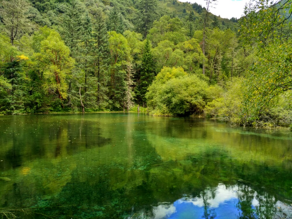 四川景区走红，新4A景区，被称“摄影家天堂的秘境”，门票100元