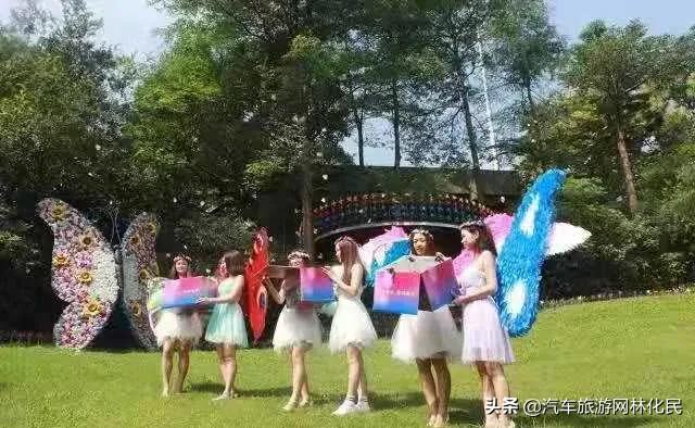 沂蒙马泉休闲园万亩樱桃花开,门票免费送啦