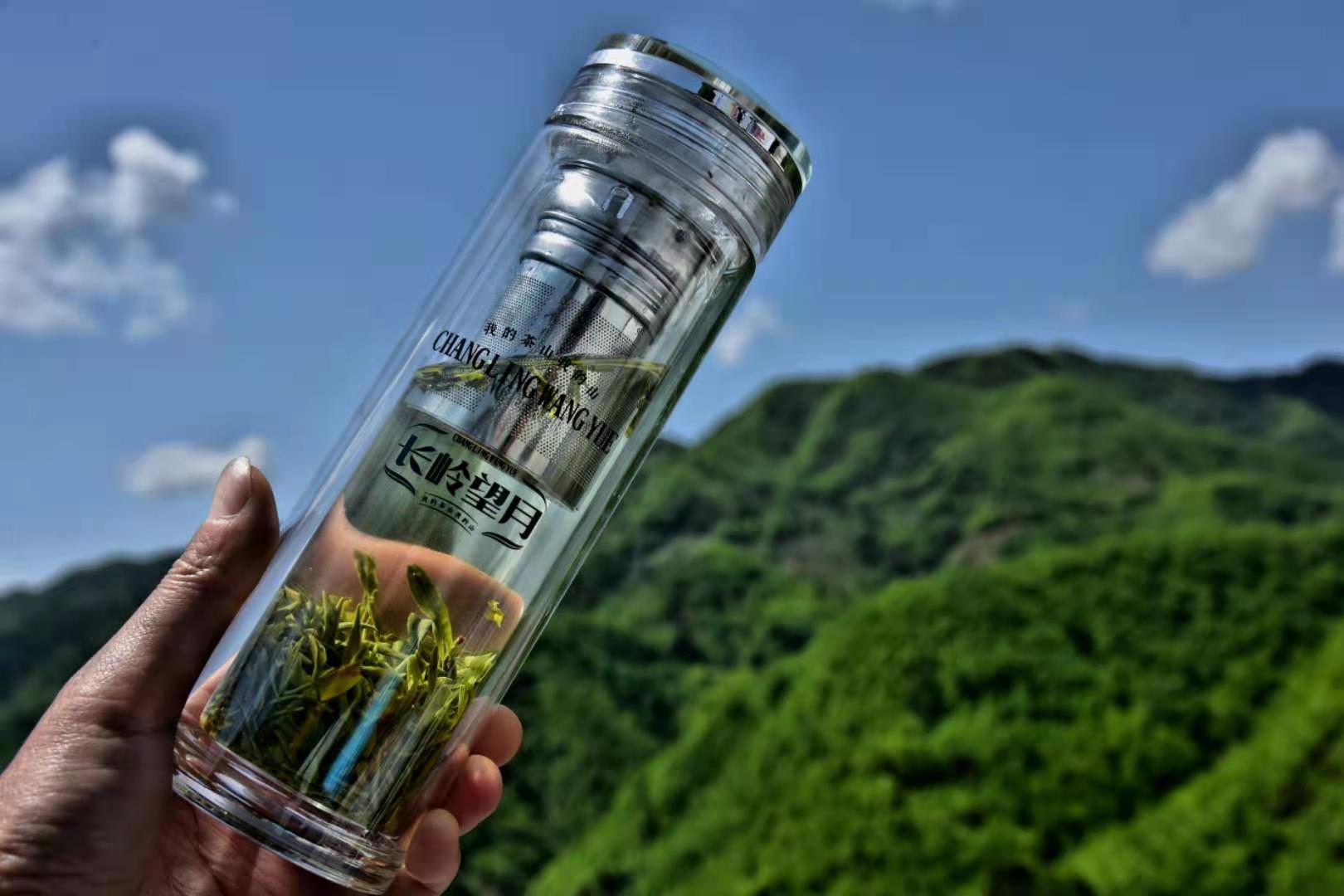 镇巴花园社区“长岭望月”茶叶品牌后面的感人故事