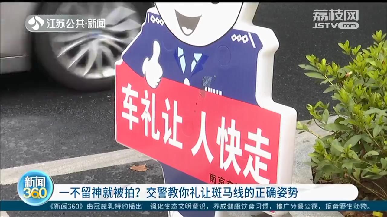 一不留神就被抓拍？交警教你礼让斑马线的正确姿势