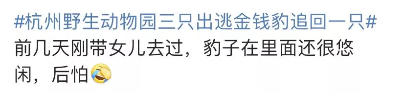 杭州“瞒豹”事件,愣把所有人当傻子