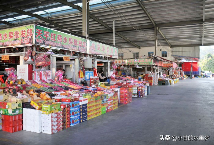 广州水果批发市场在哪里（广州最便宜的水果批发市场）