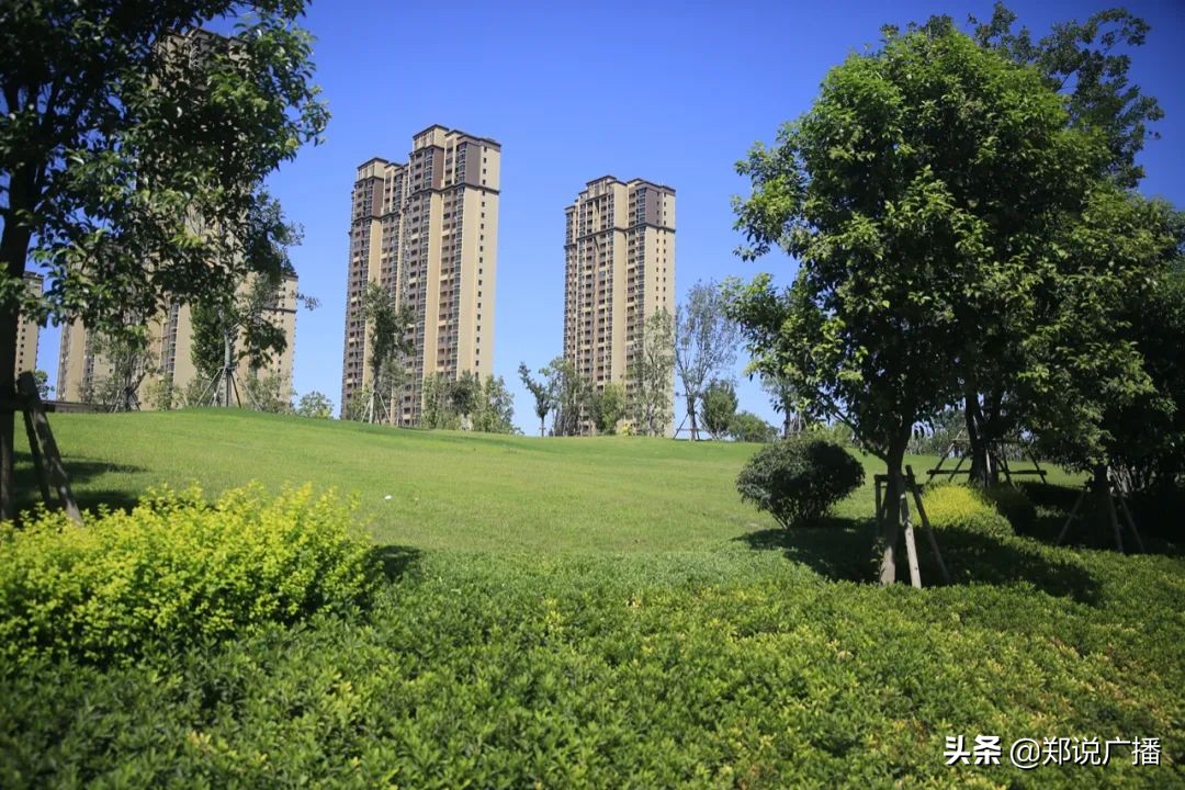 小而美，郑州这些公园你不容错过