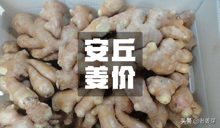 2020年5月27日安丘生姜价格行情（稳）