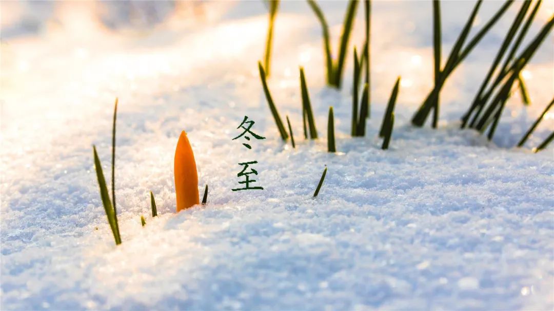 诗词鉴赏-冬至已至 春归有期，十首经典的冬至诗词，温暖如诗