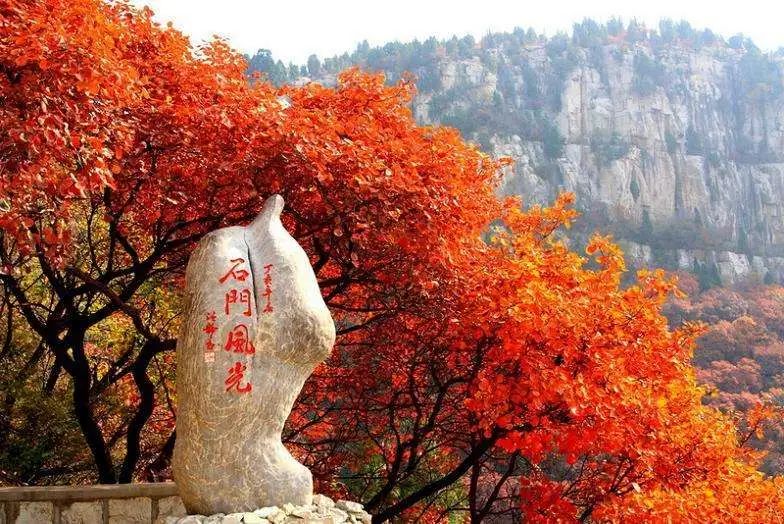 Missing these 14 maple viewing areas in November is equivalent to missing the entire autumn