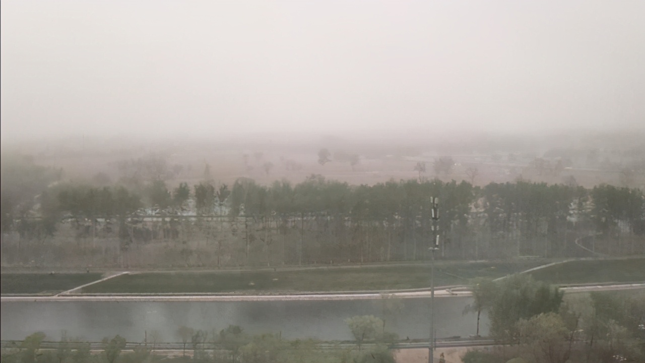 柳絮讓人苦不堪言，沒想到還是美食，在吃貨麵前為何依然猖狂？