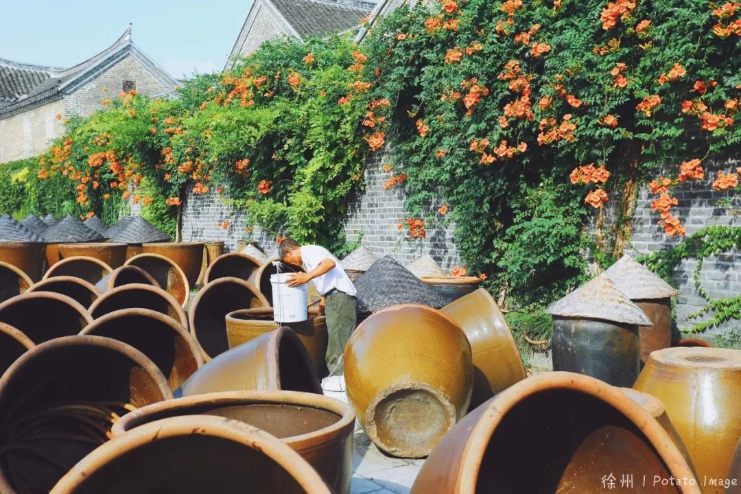 Have you seen the Ginkgo Tunnel?  Transformed into a golden ocean in November, more spectacular than Tengchong, more dreamy than Beijing