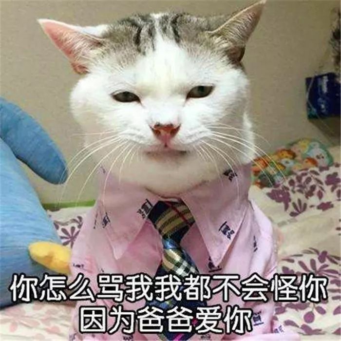 猫咪与新生儿接触需谨慎，做好四点措施后避免风险