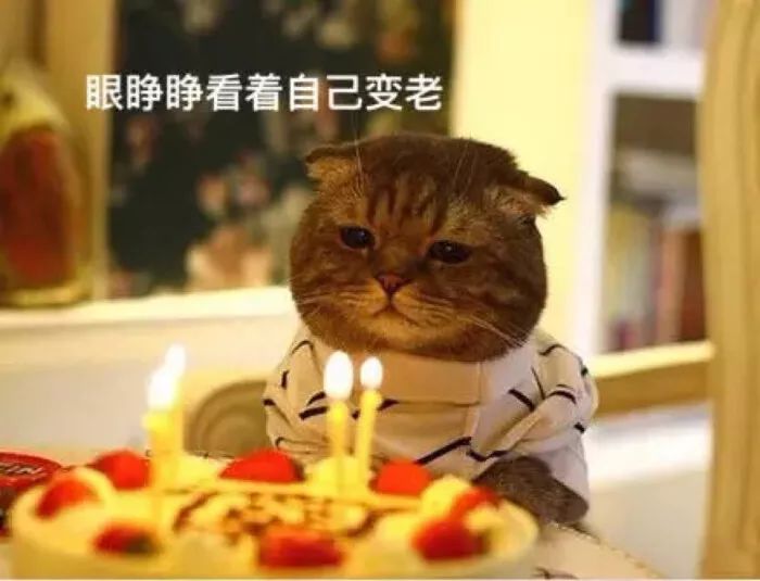 致自己生日感悟的句子，自己生日发朋友圈的说说：承蒙时光不弃图片