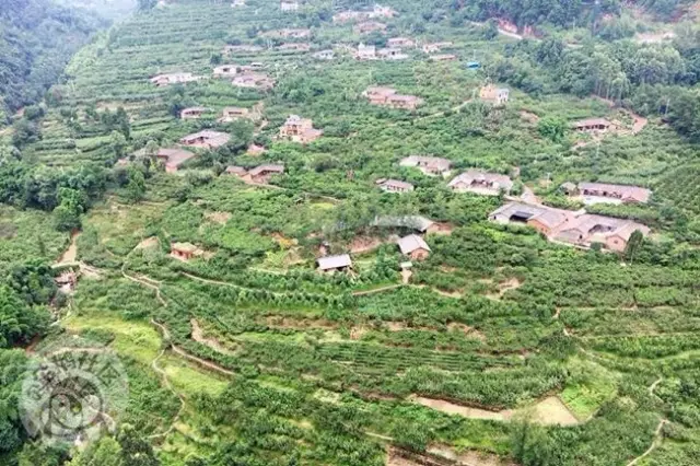 坐个动车去成都周边吃遍江油、眉山、广汉、青白江，当天可来回